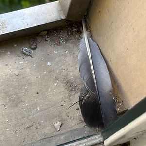 国产粉嫩学生无码一区在线观看
